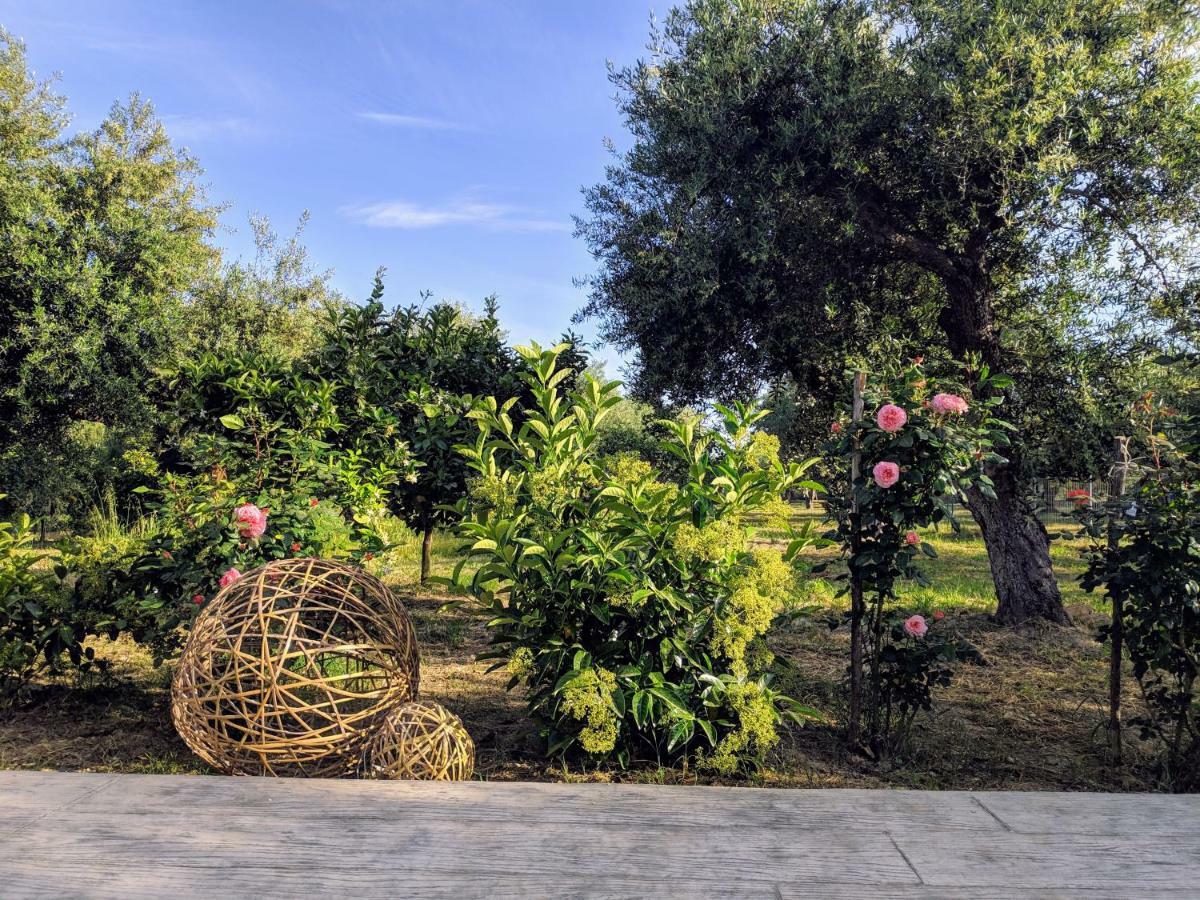 Casa Di Porto Roma Apartment Vasilikos  Luaran gambar